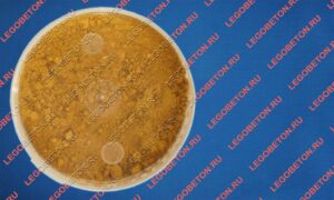 фасованный пигмент желтый 313, пигмент желтый 313 в пластиковой таре, фасованный неорганический пигмент желтый 313, фасованный железооксидный пигмент желтый 313, фасованный пигмент желтый 313 для тротуарной плитки купить