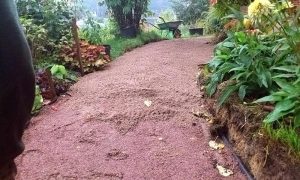 Гранитный отсев , фракция 0.16-3 мм — изображение 3